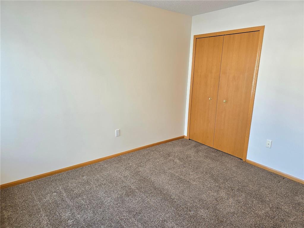 7462 Hinton Park Avenue S Cottage Grove MN 55016 7039233 image27