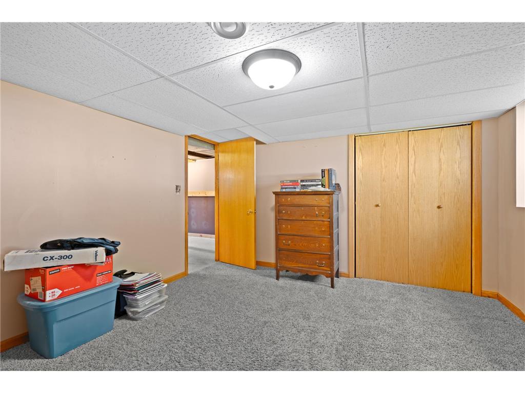 74718 270th Avenue Hayfield MN 55940 7059823 image18