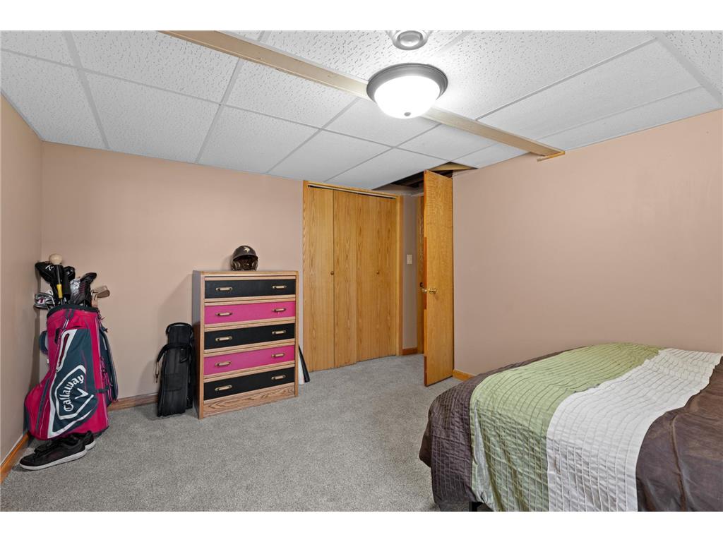 74718 270th Avenue Hayfield MN 55940 7059823 image19