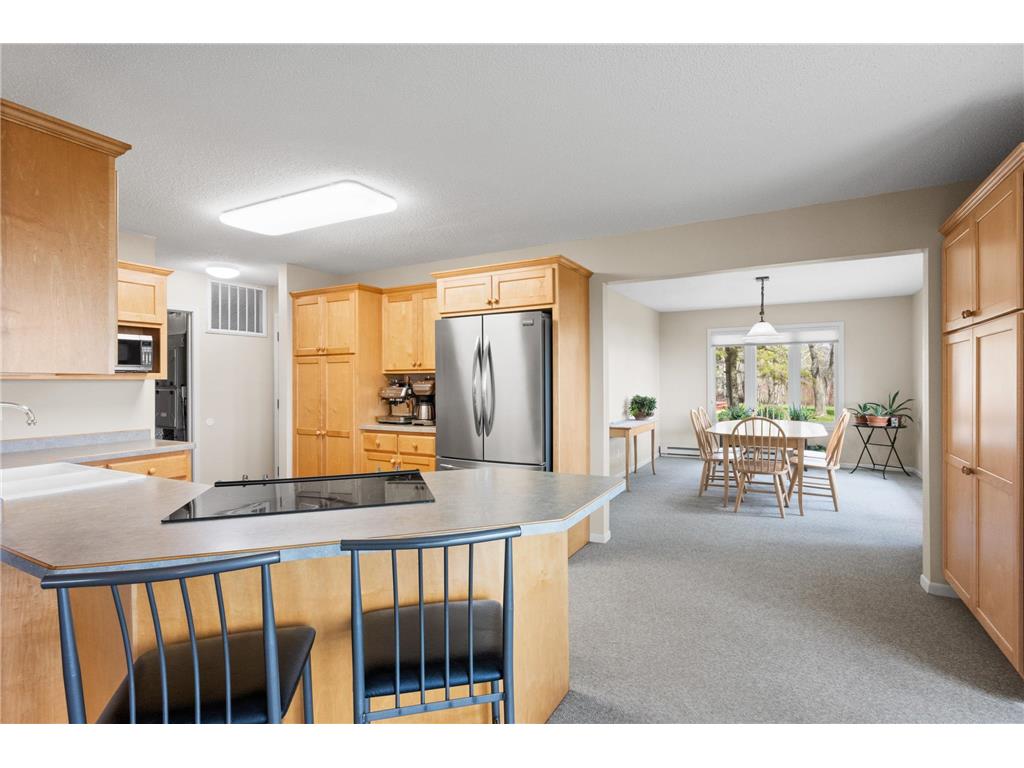 748 E Sandy Beach Drive NE Miltona Twp MN 56354 - Miltona Lake 7071678 image23
