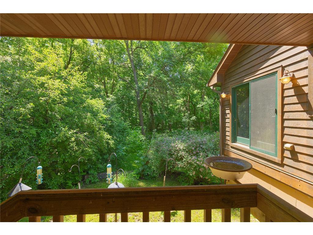7490 Norling Avenue SW Stockholm Twp MN 55321 7086026 image48