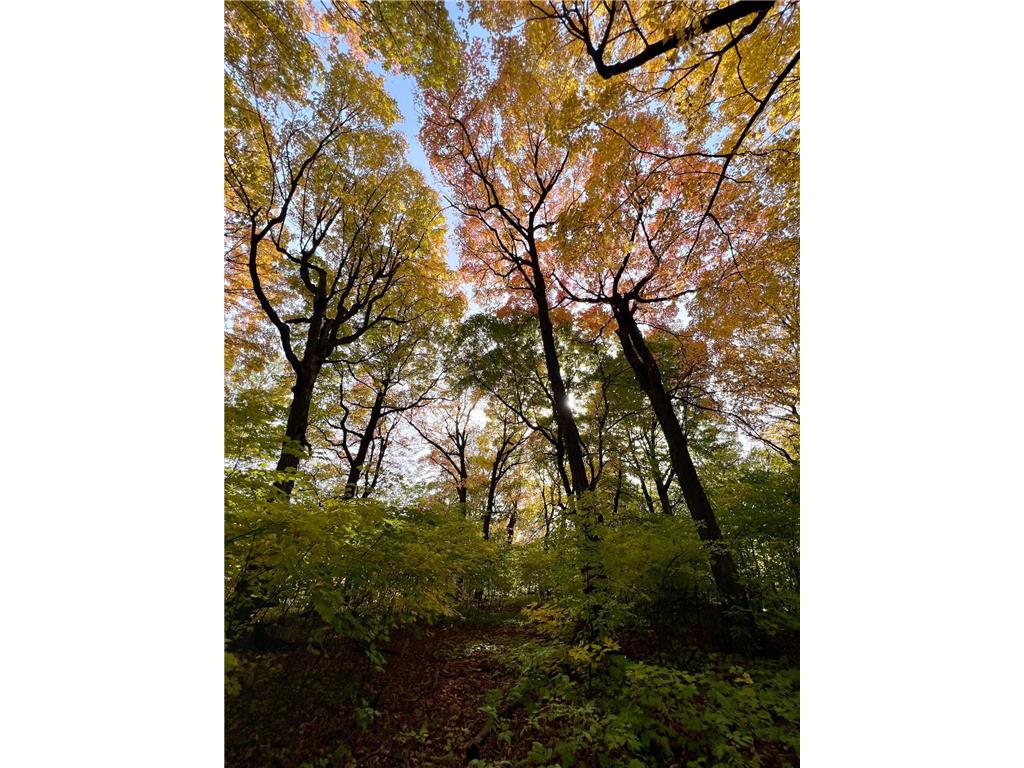 7495 Fern Court Greenfield MN 55357 7000757 image4