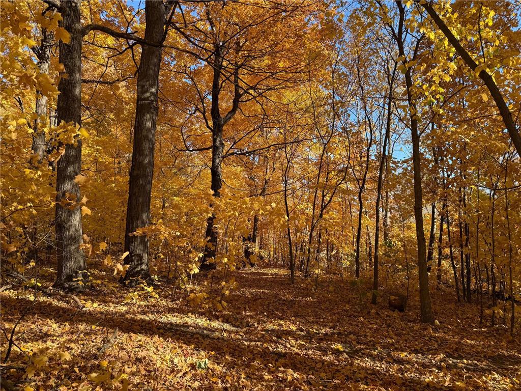 7495 Fern Court Greenfield MN 55357 7000757 image6