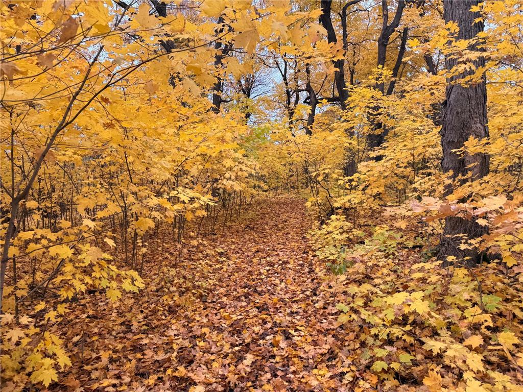 7495 Fern Court Greenfield MN 55357 7000757 image7