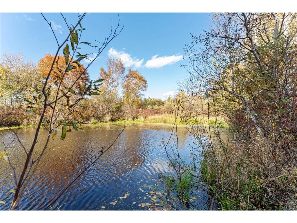 74xx 181st Avenue NW Nowthen MN 55303 6805347 image15