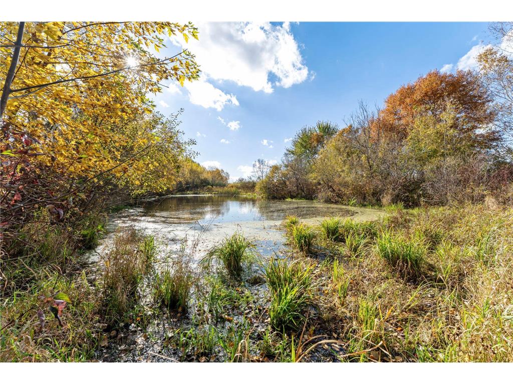 74xx 181st Avenue NW Nowthen MN 55303 6805347 image16