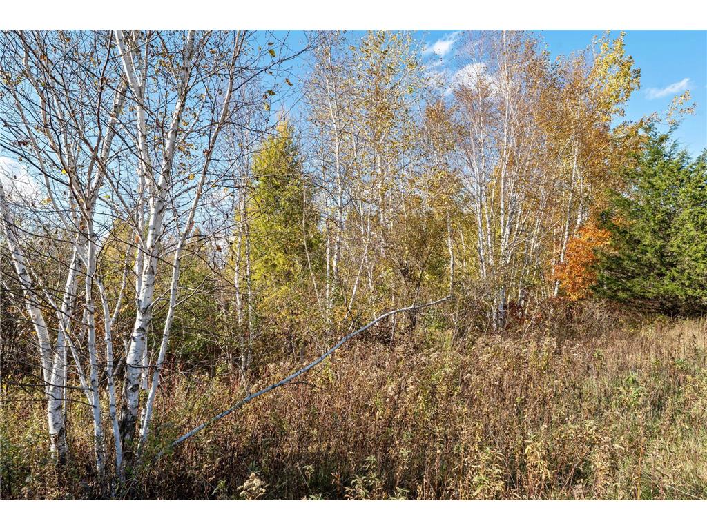 74xx 181st Avenue NW Nowthen MN 55303 6805347 image19