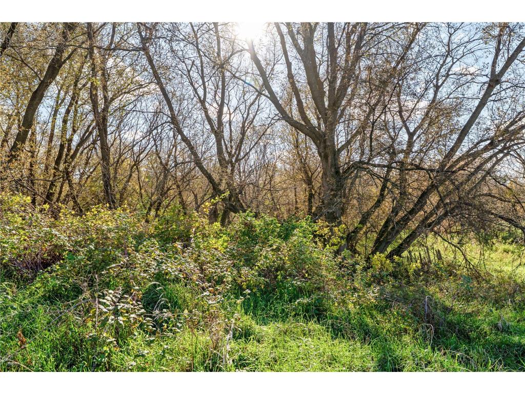 74xx 181st Avenue NW Nowthen MN 55303 6805347 image21