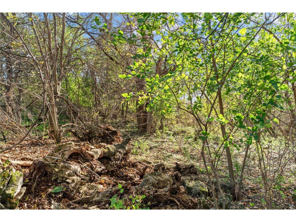 74xx 181st Avenue NW Nowthen MN 55303 6805347 image22