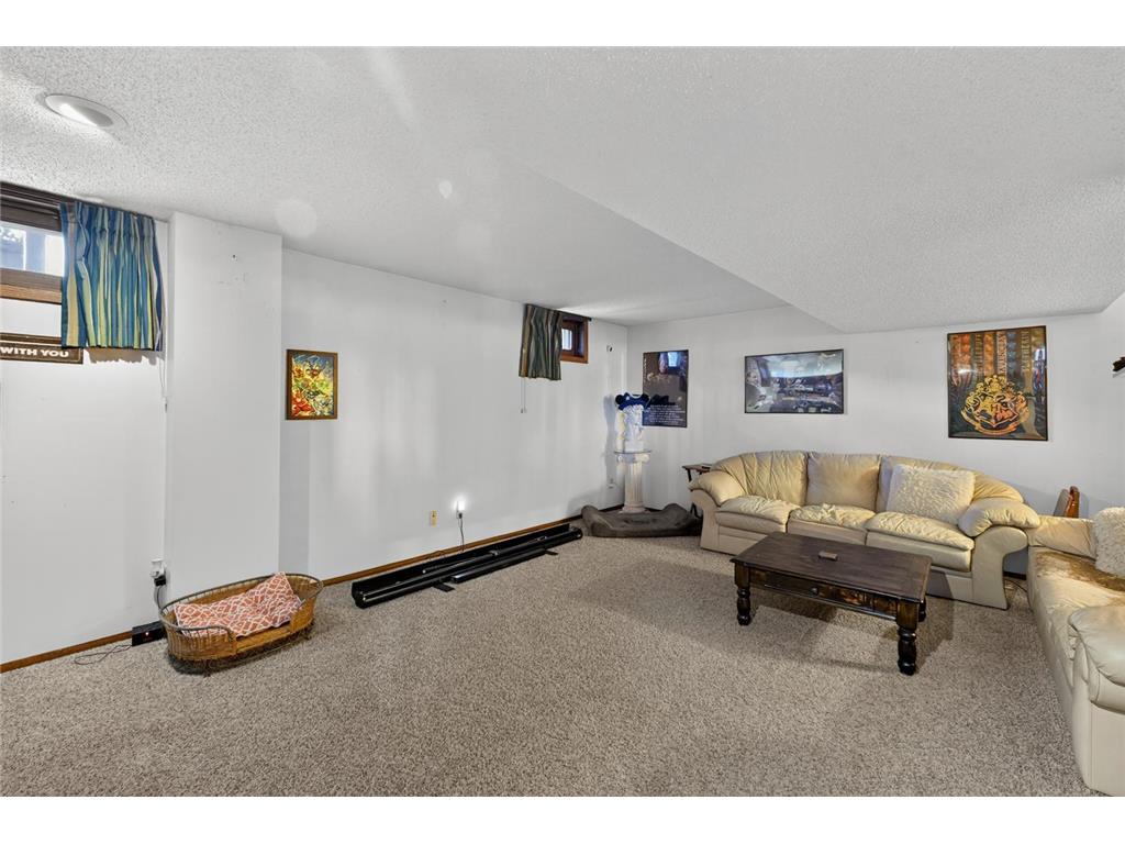 75 Wilson Street Lewiston MN 55952 6821691 image31