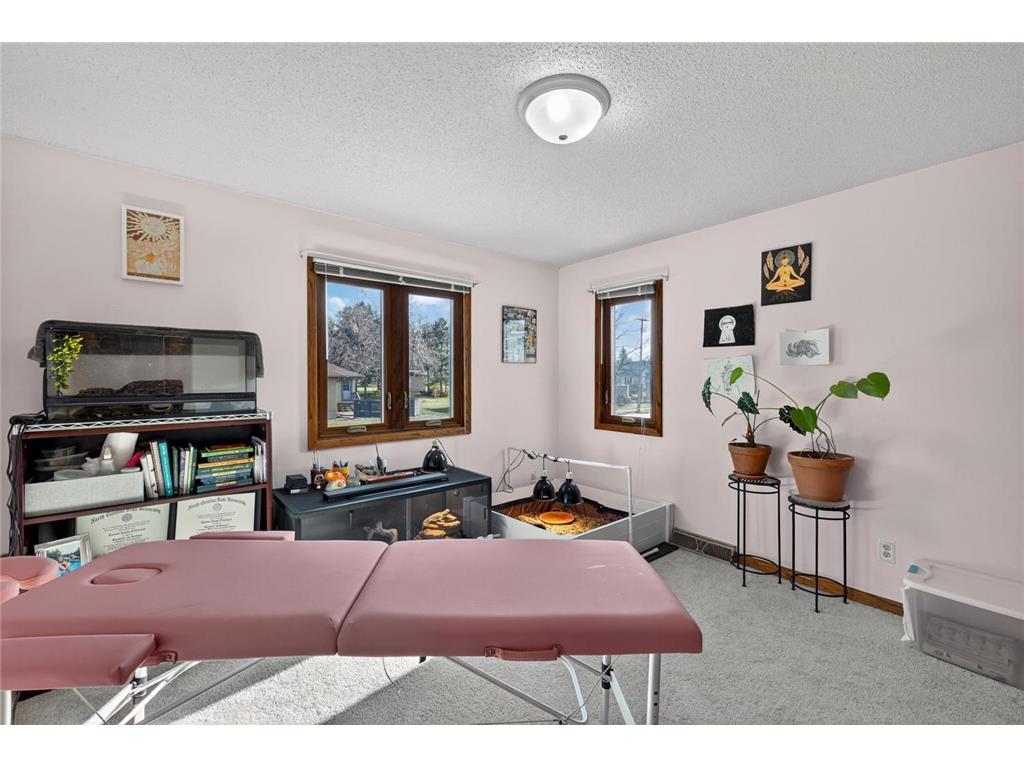 75 Wilson Street Lewiston MN 55952 6821691 image60