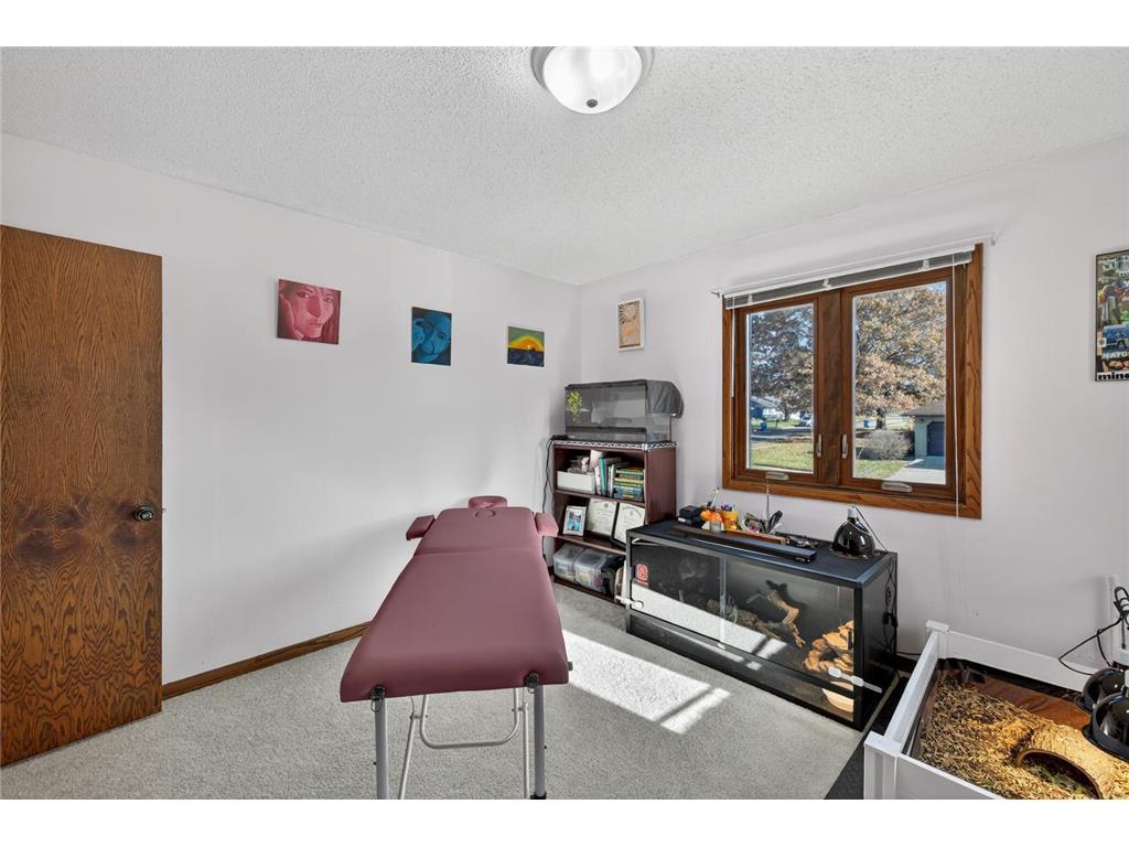 75 Wilson Street Lewiston MN 55952 6821691 image61