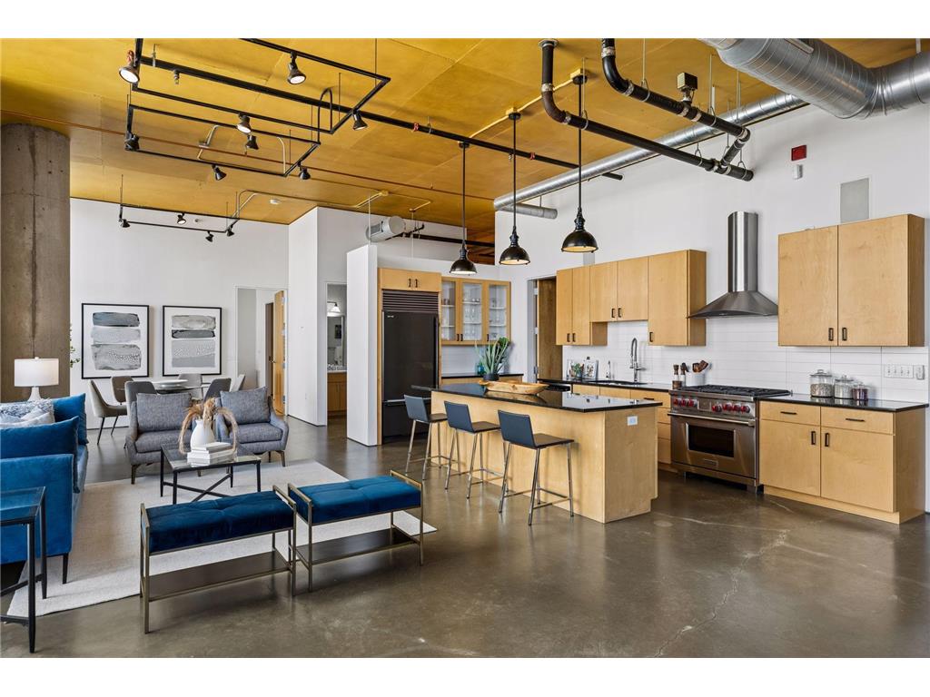 750 S 2nd Street #801 Minneapolis MN 55401 - Mississippi 7081234 image18