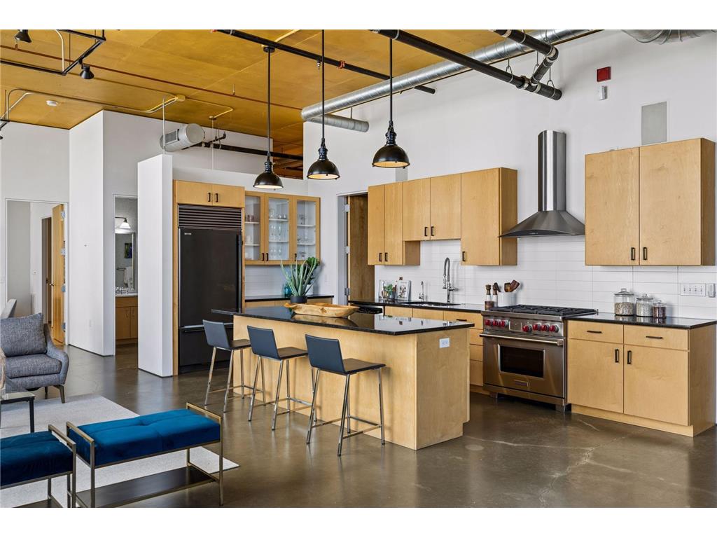 750 S 2nd Street #801 Minneapolis MN 55401 - Mississippi 7081234 image19