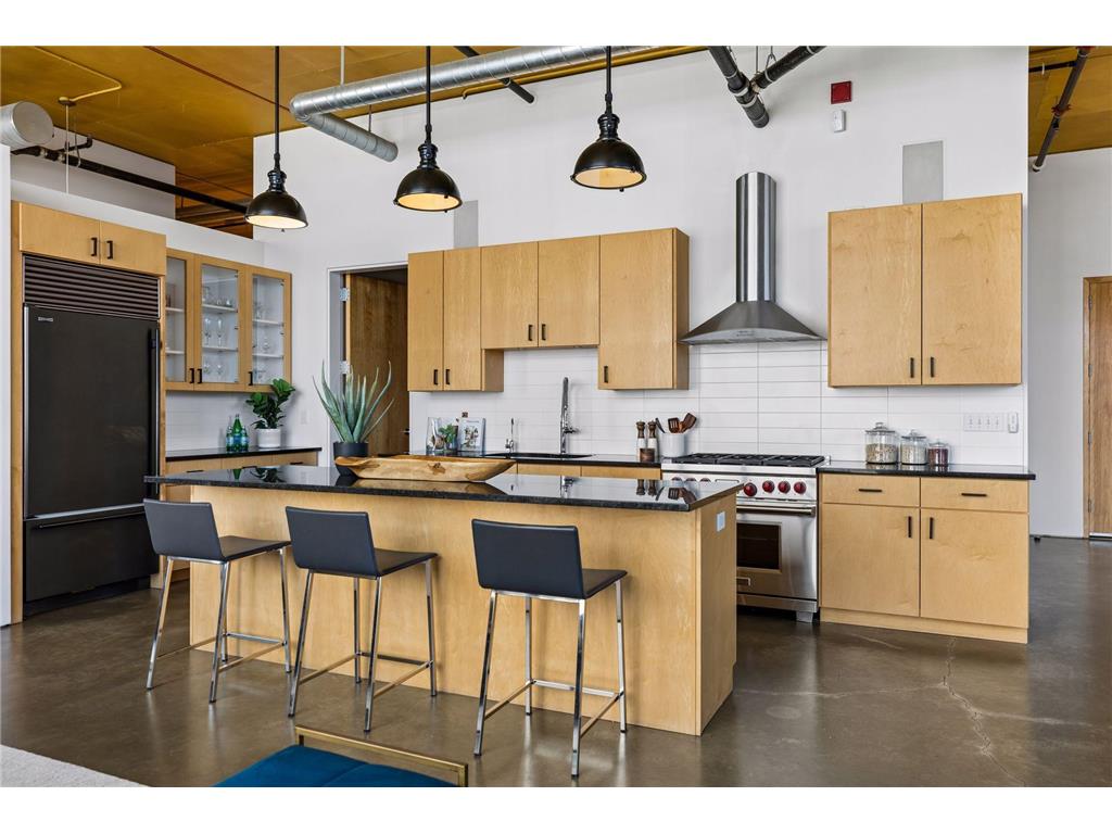 750 S 2nd Street #801 Minneapolis MN 55401 - Mississippi 7081234 image20