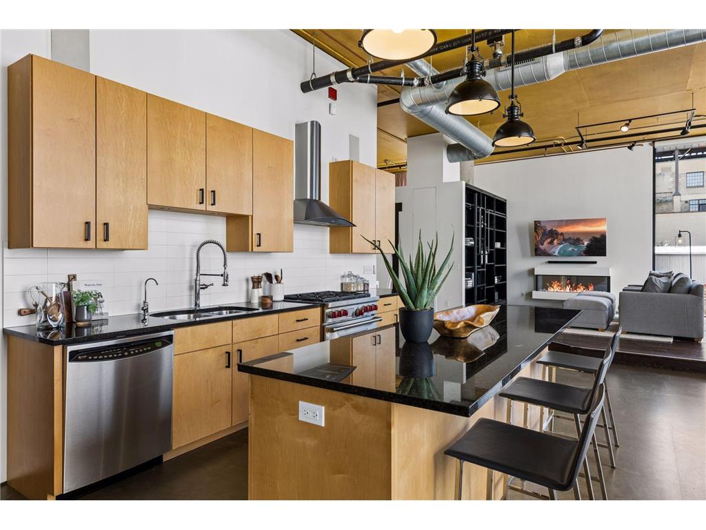 750 S 2nd Street #801 Minneapolis MN 55401 - Mississippi 7081234 image29