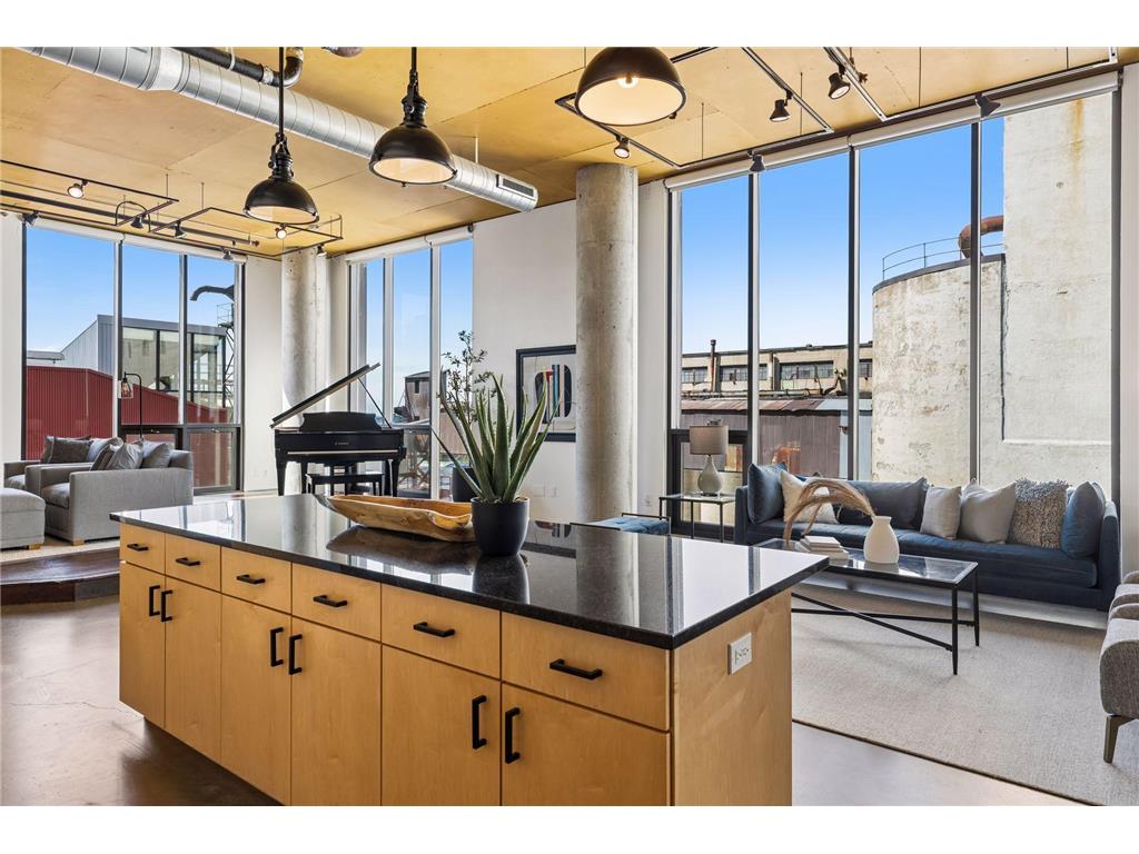 750 S 2nd Street #801 Minneapolis MN 55401 - Mississippi 7081234 image31