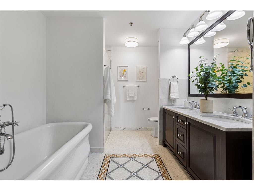 750 S 2nd Street #801 Minneapolis MN 55401 - Mississippi 7081234 image42