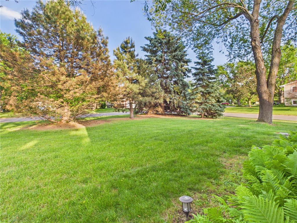 7500 119th Avenue N Champlin MN 55316 7075396 image34