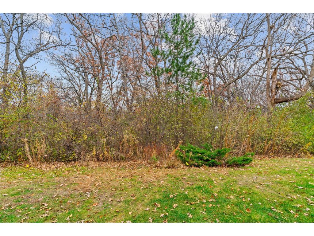 7504 Germane Trail Apple Valley MN 55124 6821648 image27