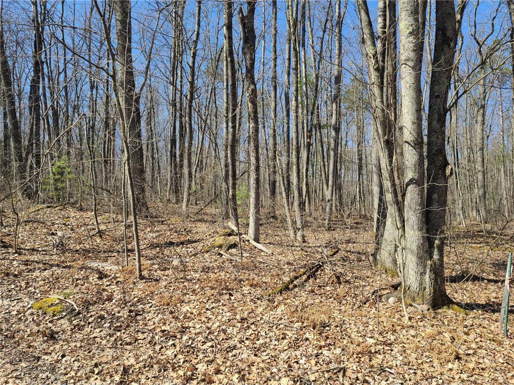 7512 N Bob Street Hunter Twp WI 54843 6522270 image1