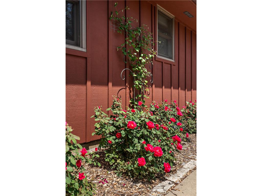 7515 Newton Avenue S Richfield MN 55423 7078961 image3