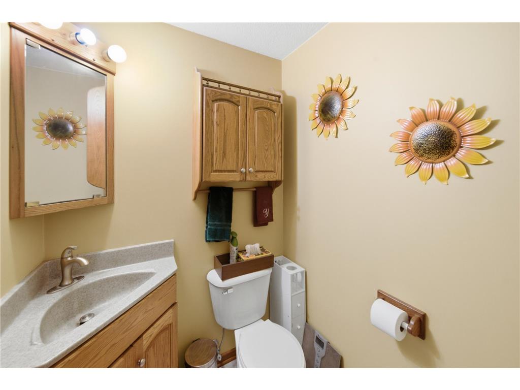 7524 58th St NE Rochester MN 55906 7075285 image21