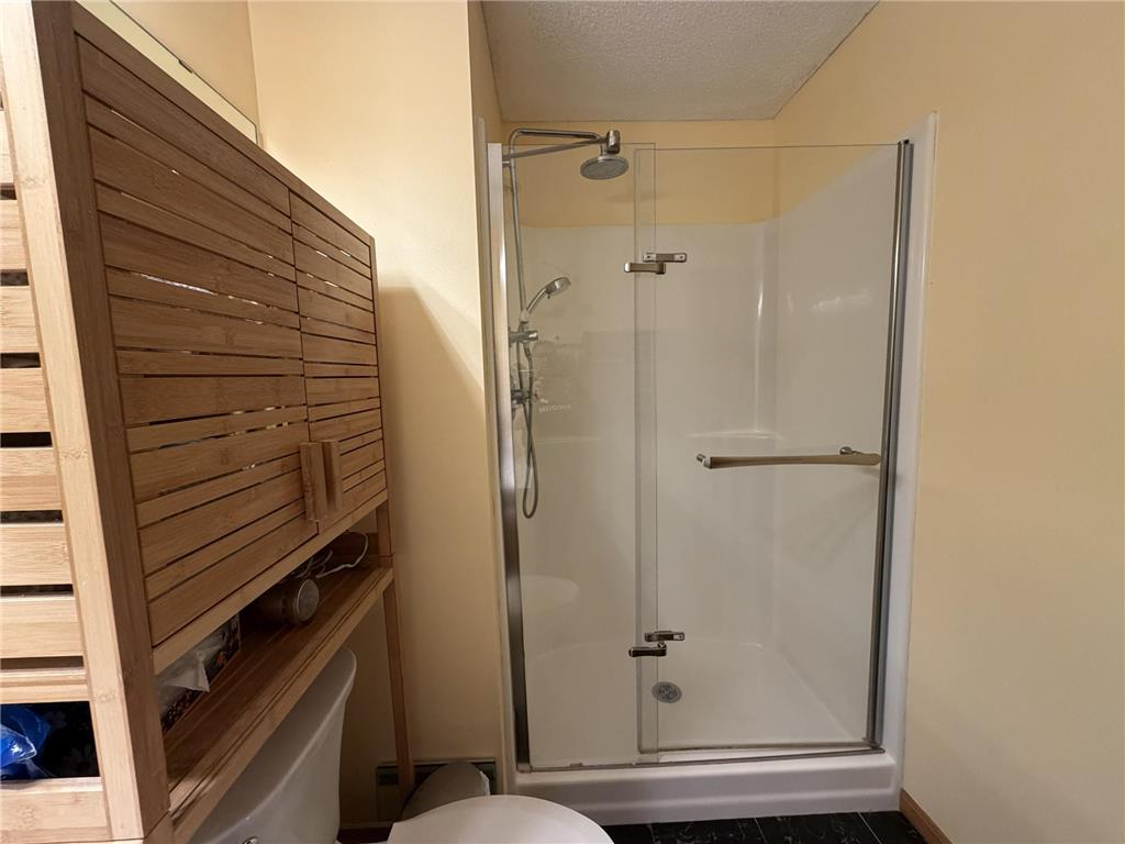 7524 Ojibway Park Road Woodbury MN 55125 7070704 image15