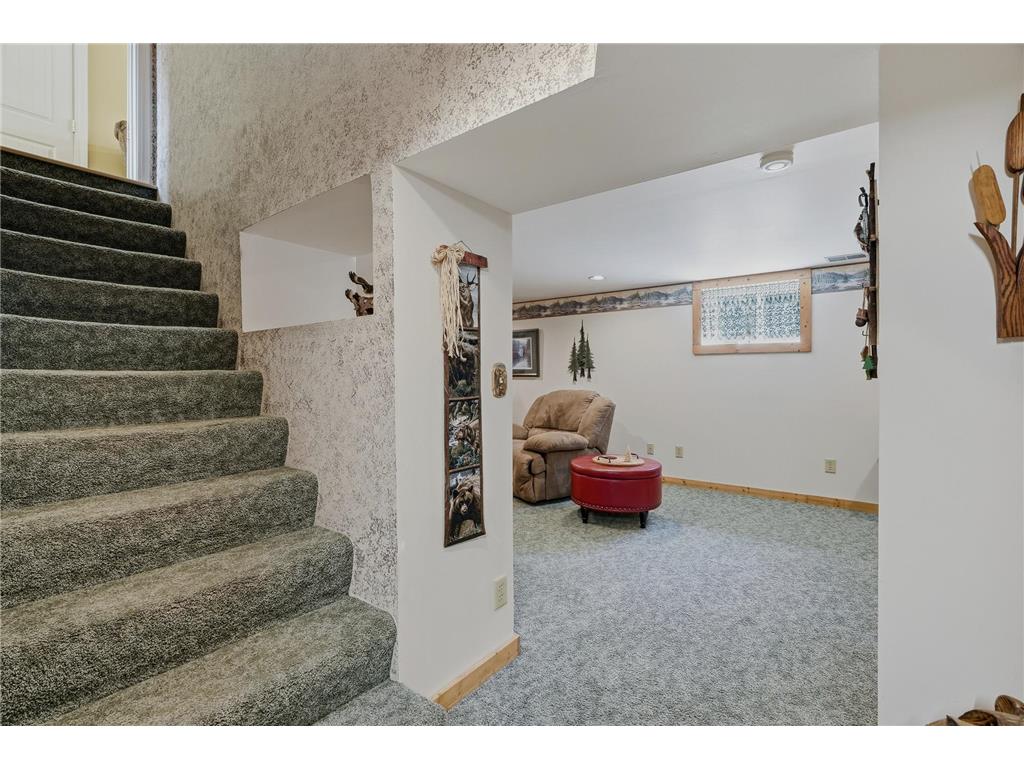 7529 Immanuel Avenue S Cottage Grove MN 55016 7096749 image53