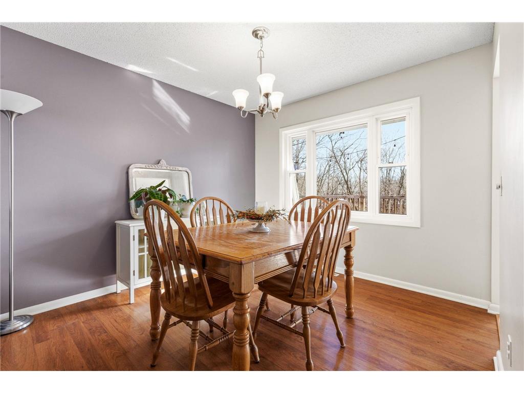 7531 Banning Way Inver Grove Heights MN 55077 6804841 image6