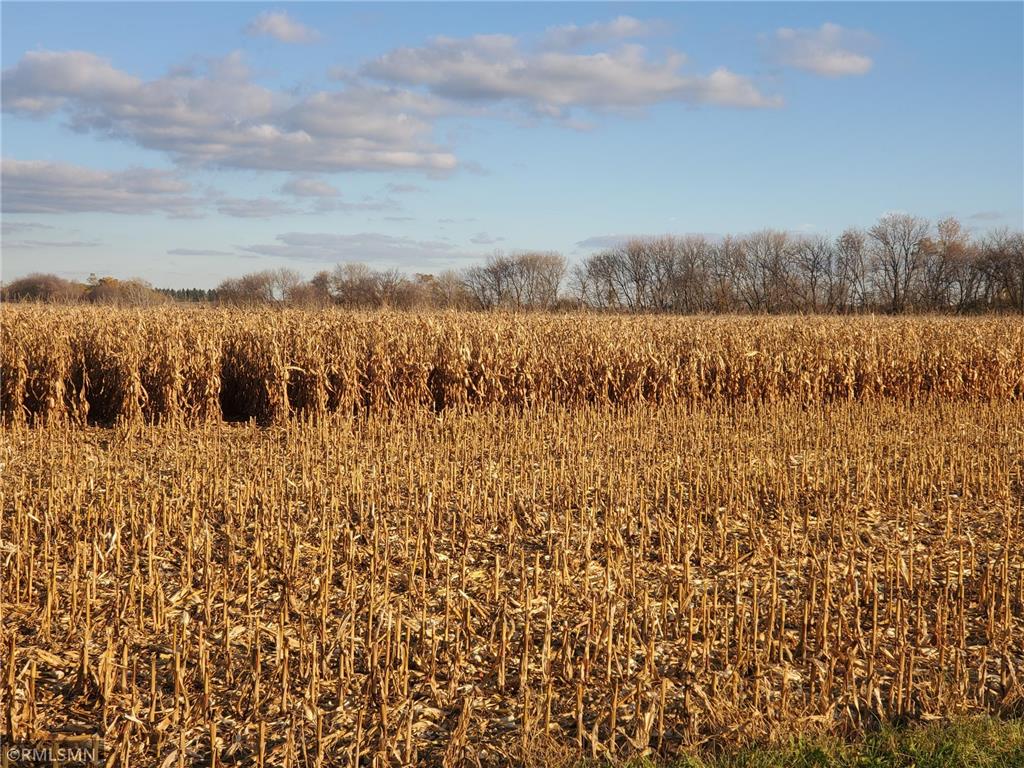 754 190th Street Hammond WI 54002 6771863 image5