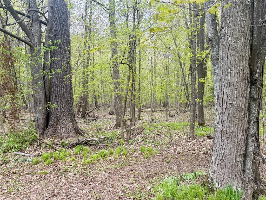 754 60th Street Amery WI 54001 7072986 image57