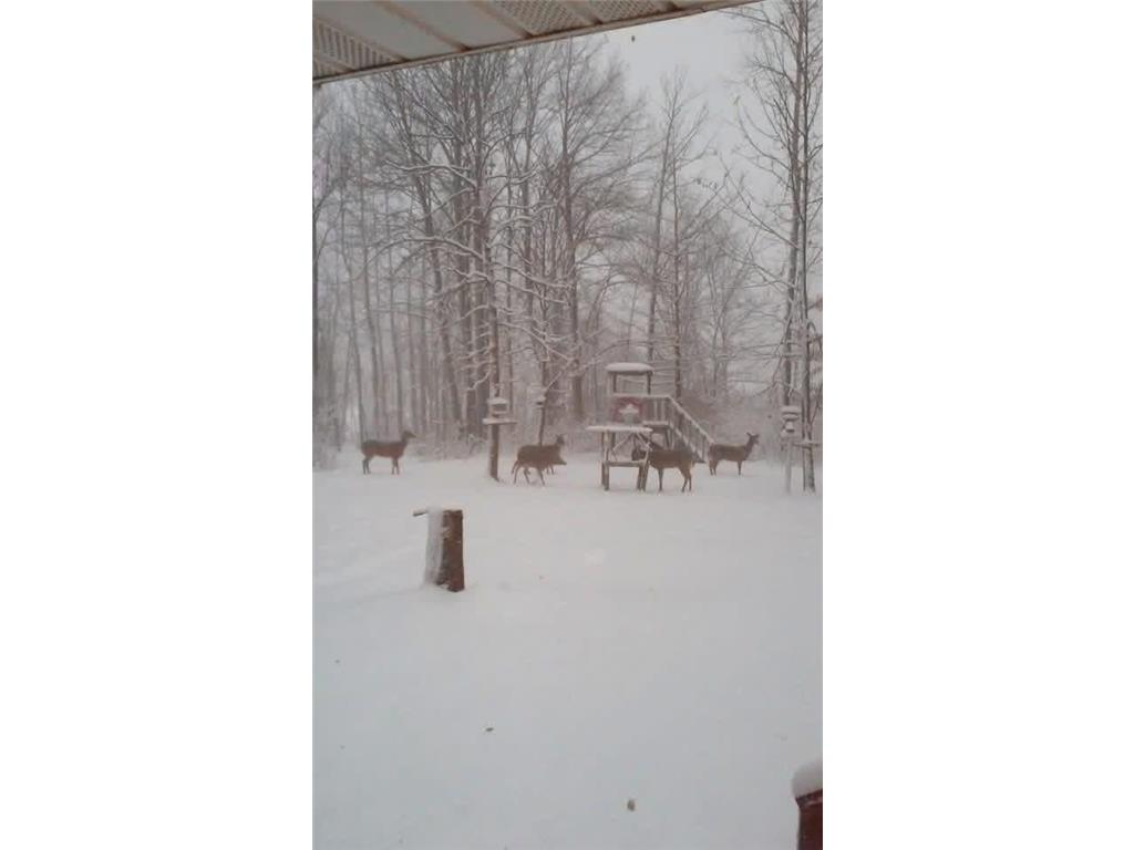 754 60th Street Amery WI 54001 7072986 image76