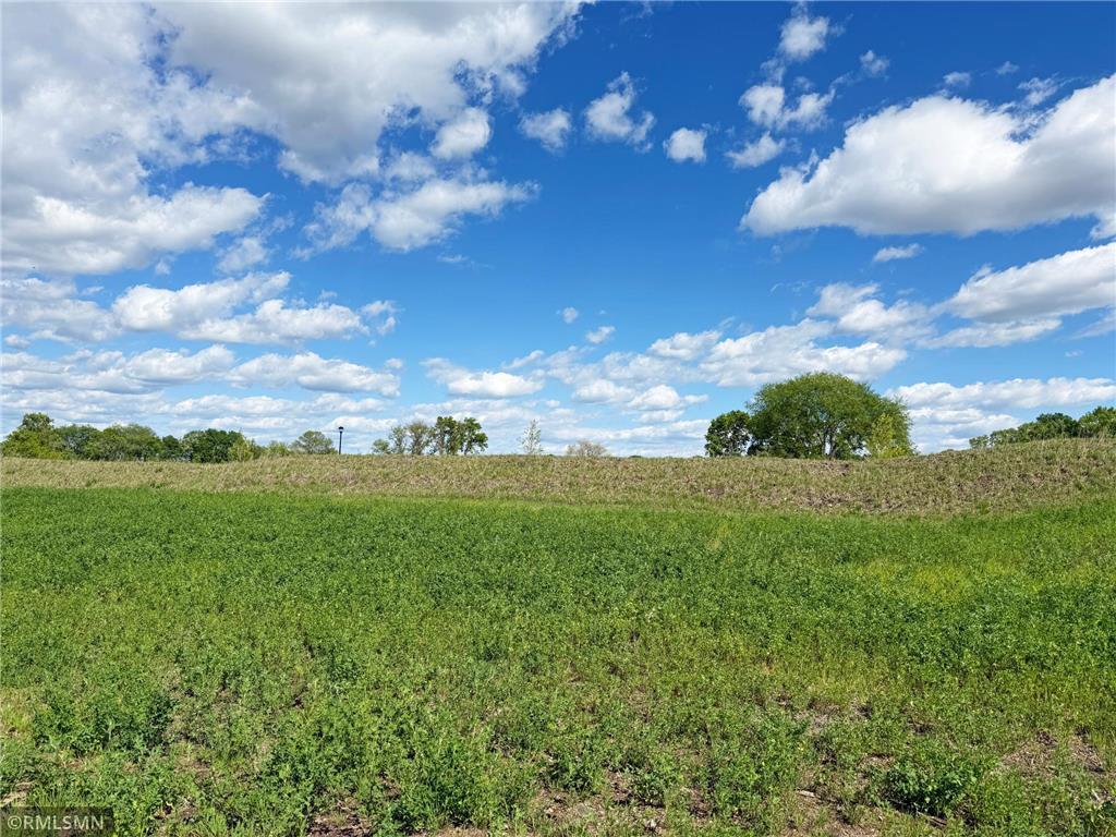 7550 Lake John Drive Annandale MN 55302 - John 6630291 image27