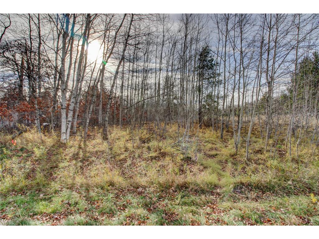 7557 Fallen Leaf Circle Breezy Point MN 56472 6820696 image3