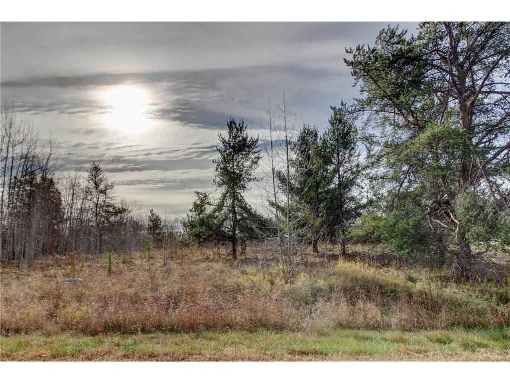 7557 Fallen Leaf Circle Breezy Point MN 56472 6820696 image4