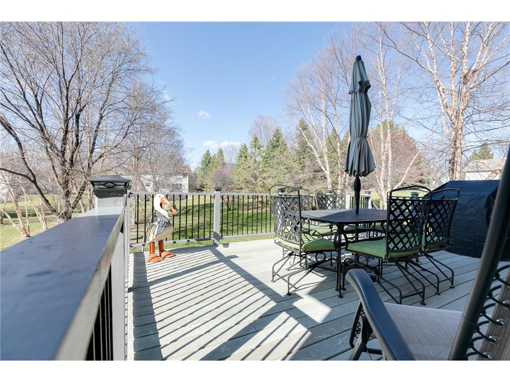 7568 Walnut Curve Chanhassen MN 55317 7069500 image48