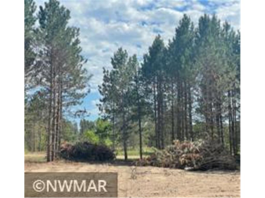 7570 Ness Road NW Liberty Twp MN 56601 6345398 image1