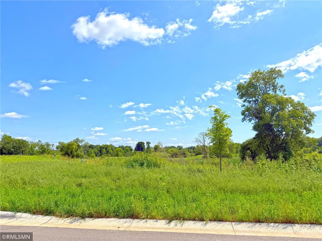 7581 Lake John Drive Annandale MN 55302 - John 6775663 image9