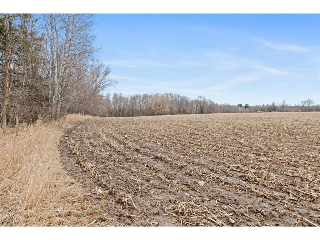 75XX 383rd Avenue NW Dalbo MN 55017 6689972 image1