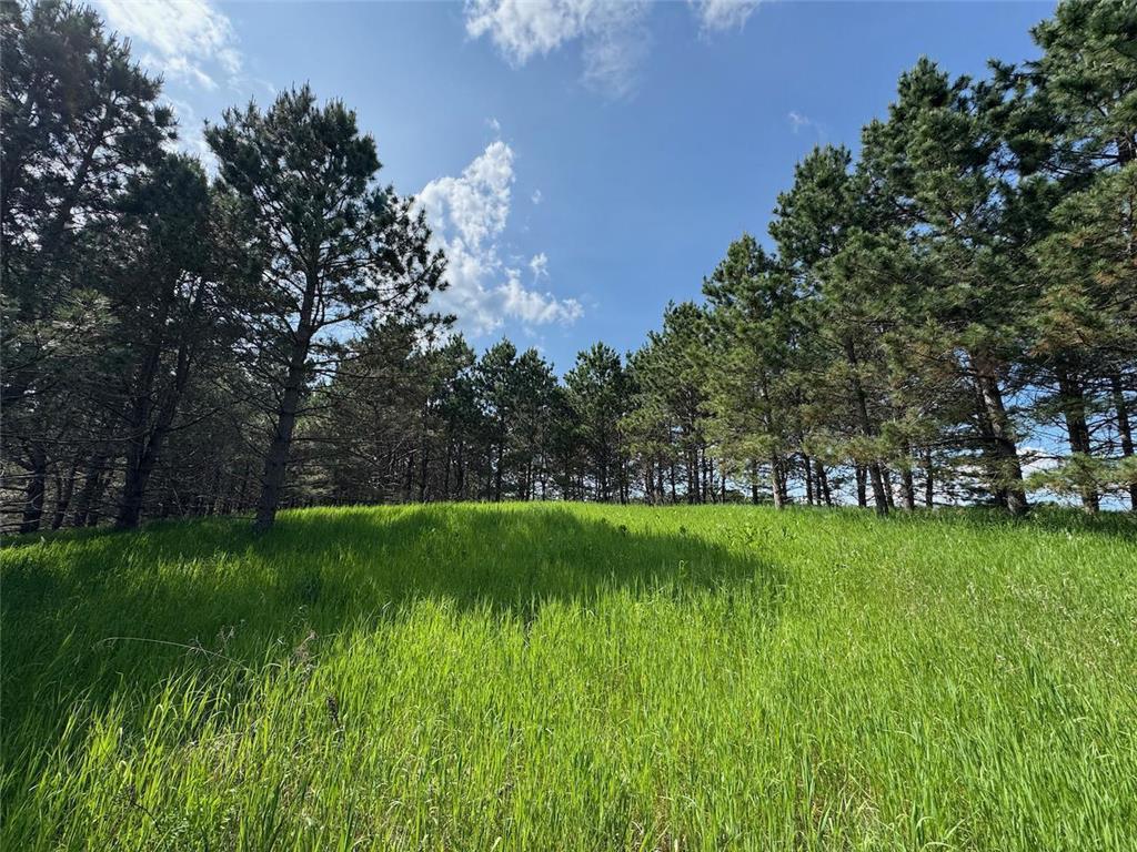 75a Hines Road NE Hines Twp MN 56647 6744643 image1