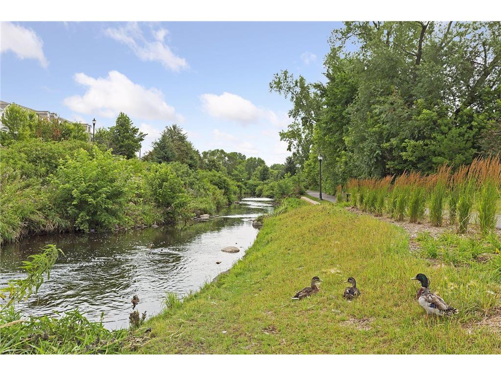 7604 Hampshire Avenue N Brooklyn Park MN 55428 7040169 image33