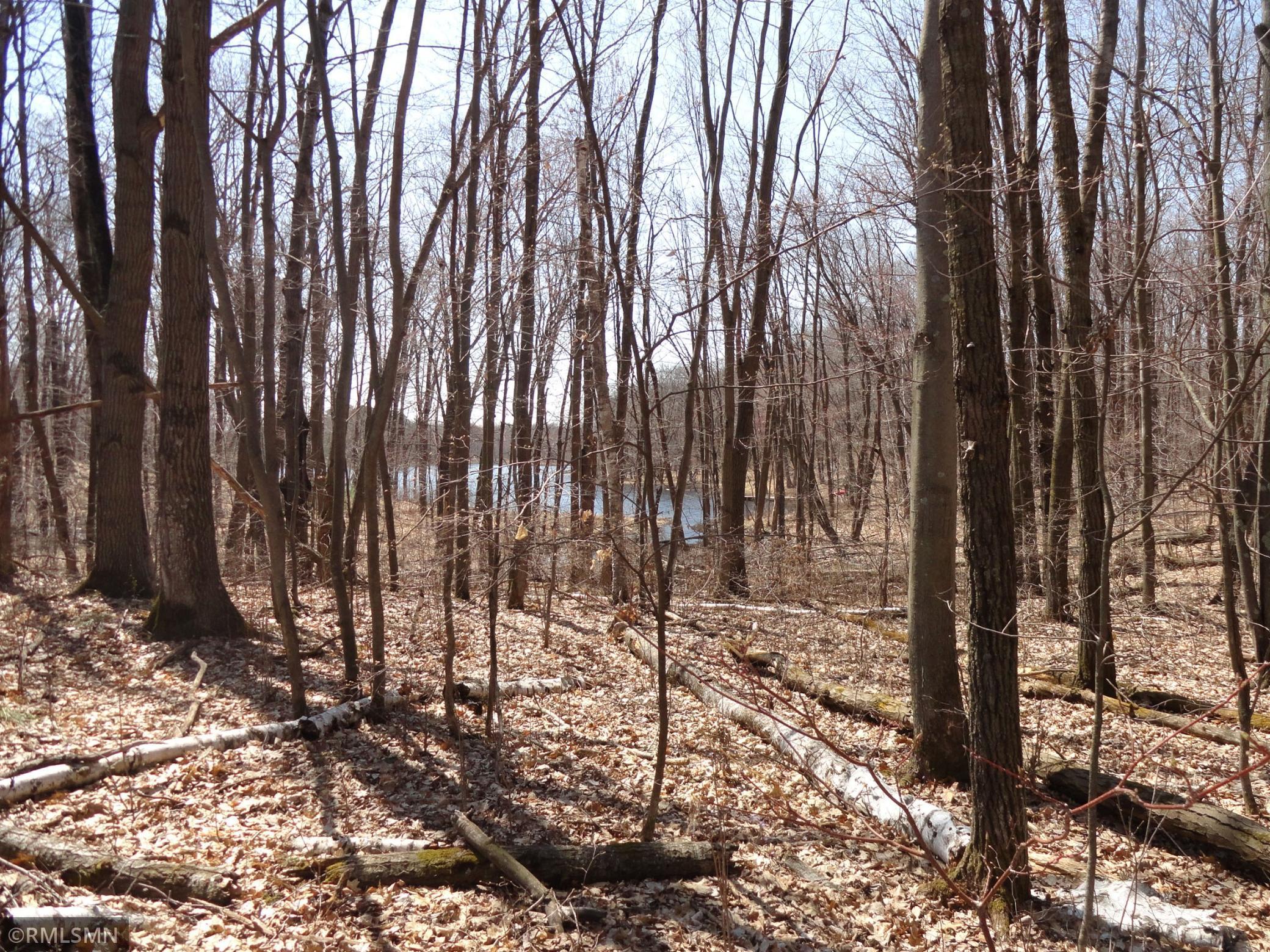 760A Woodchuck Trail, Randall, MN 56475 MLS 5746080 Edina Realty