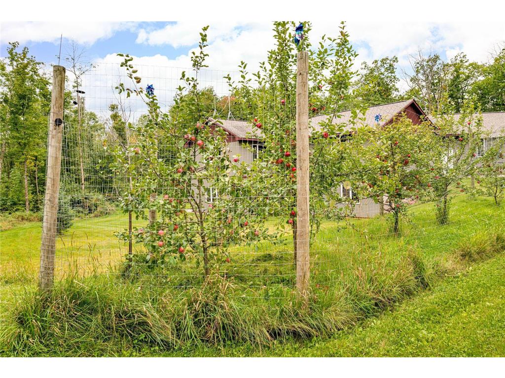 76100 Maple Road Bremen Twp MN 55795 7032551 image39