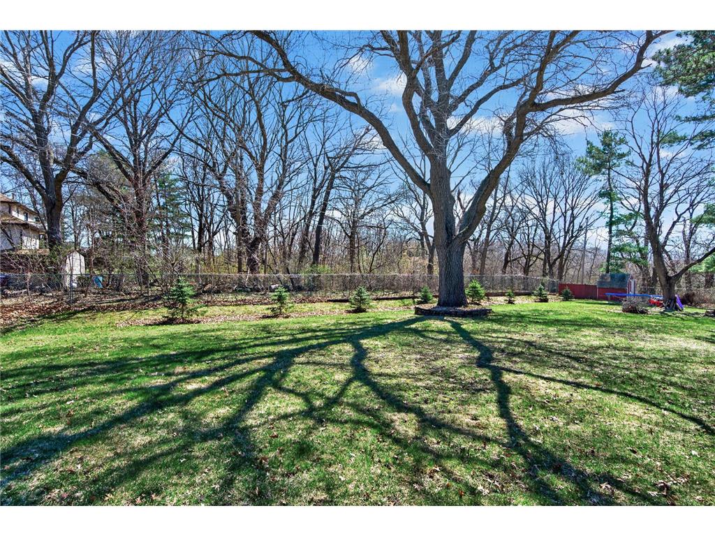 762 113th Circle NE Blaine MN 55434 7055789 image38