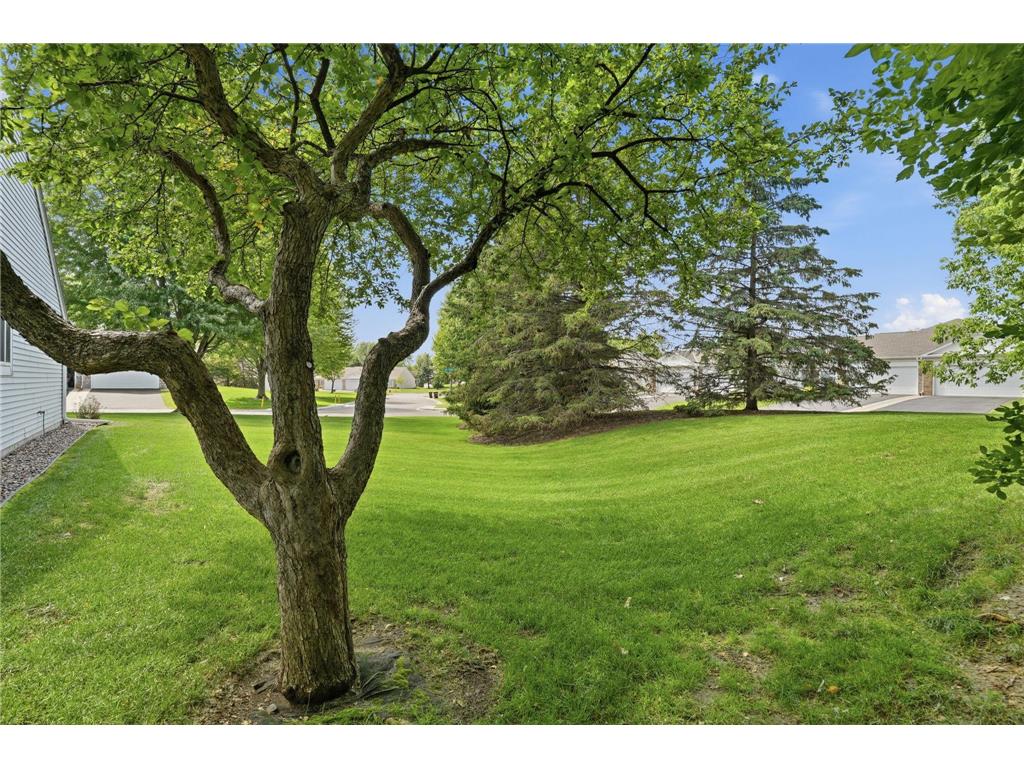 762 Lake Ridge Drive Woodbury MN 55129 7100028 image23