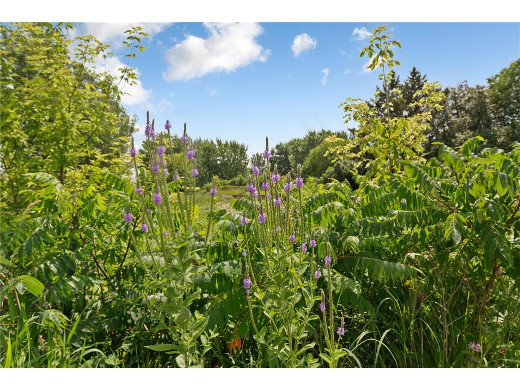 762 Stonegate Road Chanhassen MN 55317 7109466 image40