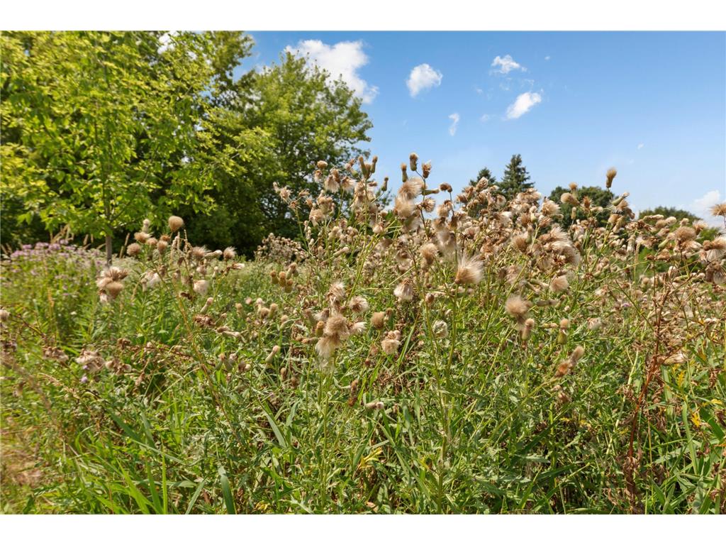762 Stonegate Road Chanhassen MN 55317 7109466 image41