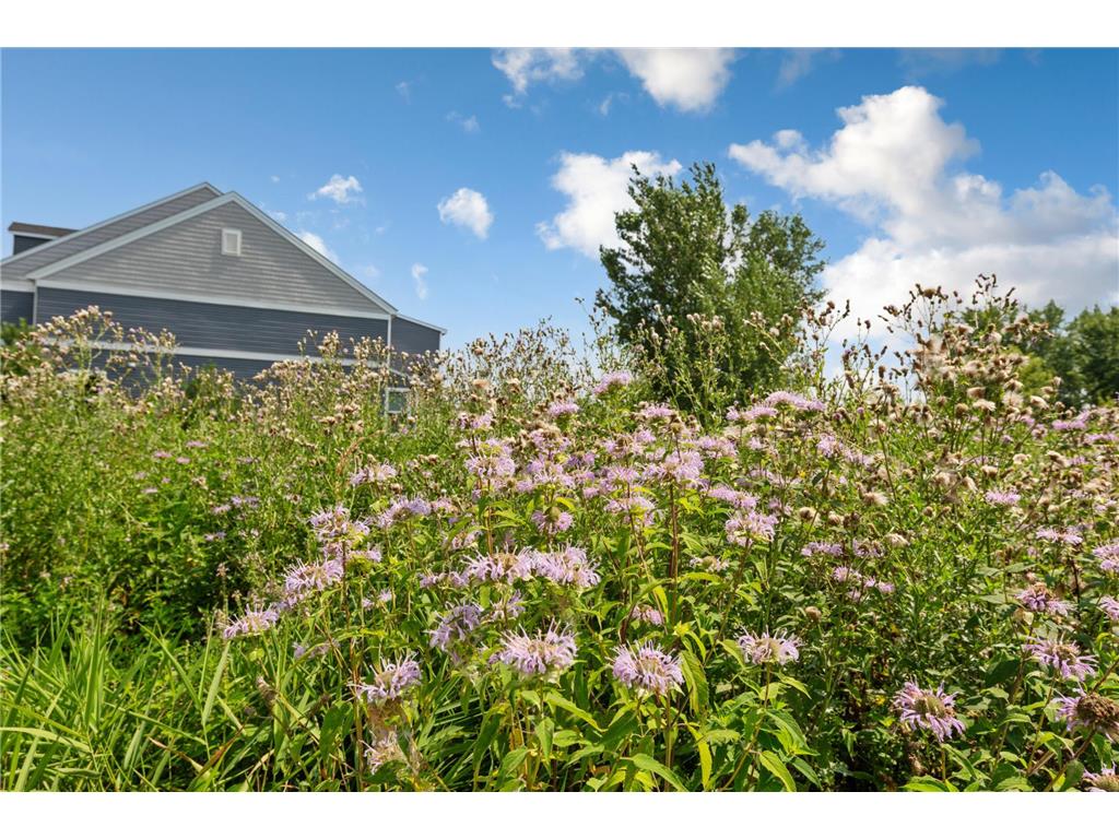 762 Stonegate Road Chanhassen MN 55317 7109466 image42
