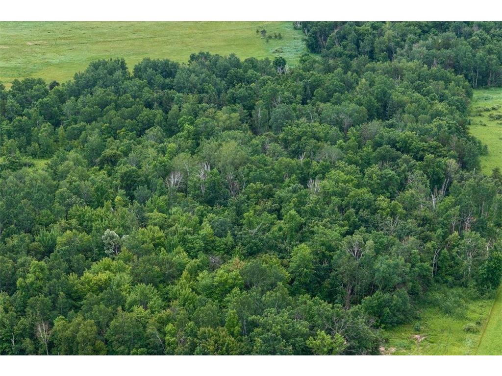 7625 96th Street SW Becker Twp MN 56466 7096697 image24